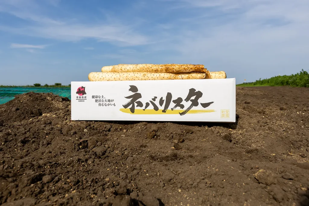 消費者の方へ